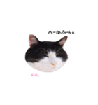 ふたまる と くく（個別スタンプ：11）
