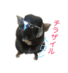寿司チンチラ（個別スタンプ：23）