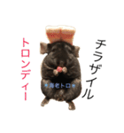 寿司チンチラ（個別スタンプ：29）
