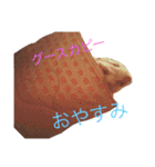 寿司チンチラ（個別スタンプ：40）