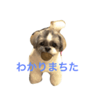 パフたん（個別スタンプ：1）