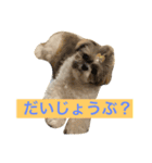 パフたん（個別スタンプ：2）