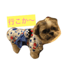 パフたん（個別スタンプ：3）