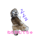 パフたん（個別スタンプ：4）