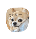 ここのきもち 2（個別スタンプ：4）