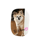 ここのきもち 2（個別スタンプ：11）
