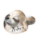 ここのきもち 2（個別スタンプ：13）