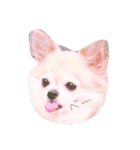 ここのきもち 2（個別スタンプ：15）