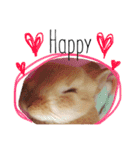 うさぎのララさん2（個別スタンプ：1）