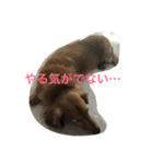 りくさんの日常（個別スタンプ：2）