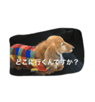りくさんの日常（個別スタンプ：4）