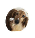 りくさんの日常（個別スタンプ：8）