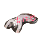 kirapu stamp（個別スタンプ：5）