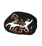kirapu stamp（個別スタンプ：6）