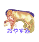 PETS！（個別スタンプ：5）