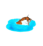 カワウソのカワムラくん（個別スタンプ：34）