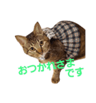 ちろの日常 : )（個別スタンプ：10）