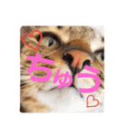 ちろの日常 : )（個別スタンプ：23）