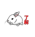 うさぎたちの気持ち（個別スタンプ：1）