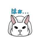 うさぎたちの気持ち（個別スタンプ：4）