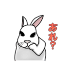 うさぎたちの気持ち（個別スタンプ：5）