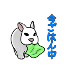 うさぎたちの気持ち（個別スタンプ：9）