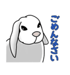 うさぎたちの気持ち（個別スタンプ：11）