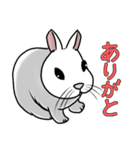 うさぎたちの気持ち（個別スタンプ：13）