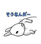 うさぎたちの気持ち（個別スタンプ：17）
