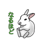 うさぎたちの気持ち（個別スタンプ：18）