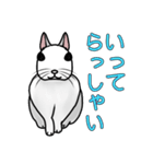 うさぎたちの気持ち（個別スタンプ：21）