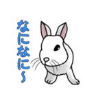 うさぎたちの気持ち（個別スタンプ：22）
