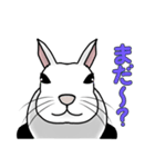 うさぎたちの気持ち（個別スタンプ：23）