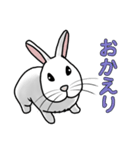 うさぎたちの気持ち（個別スタンプ：24）