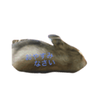 Yumekawanahamu（個別スタンプ：2）