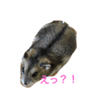 Yumekawanahamu（個別スタンプ：6）