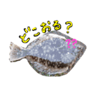 釣りへ行こう（個別スタンプ：9）