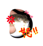 釣りへ行こう（個別スタンプ：12）