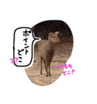 釣りへ行こう（個別スタンプ：14）