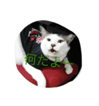 miisukesuke2（個別スタンプ：12）