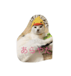 miisukesuke2（個別スタンプ：28）