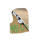 miisukesuke2（個別スタンプ：34）