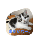 アルの日常（個別スタンプ：1）