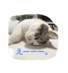 アルの日常（個別スタンプ：3）