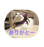 アルの日常（個別スタンプ：6）