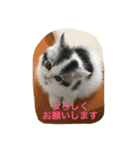アルの日常（個別スタンプ：8）