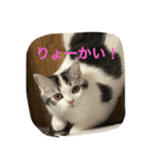 アルの日常（個別スタンプ：9）