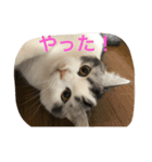 アルの日常（個別スタンプ：13）
