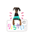 垂れ耳ドーベルマン~bell~（個別スタンプ：18）
