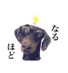 垂れ耳ドーベルマン~bell~（個別スタンプ：27）